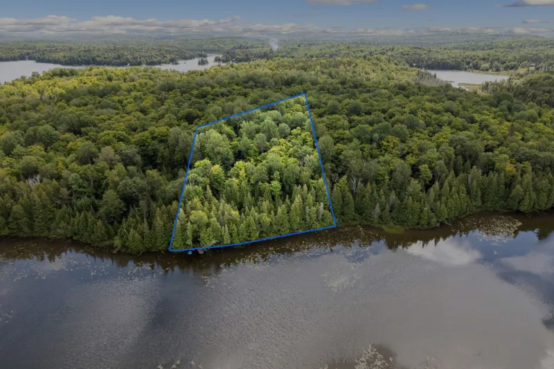 MLS: 10860552