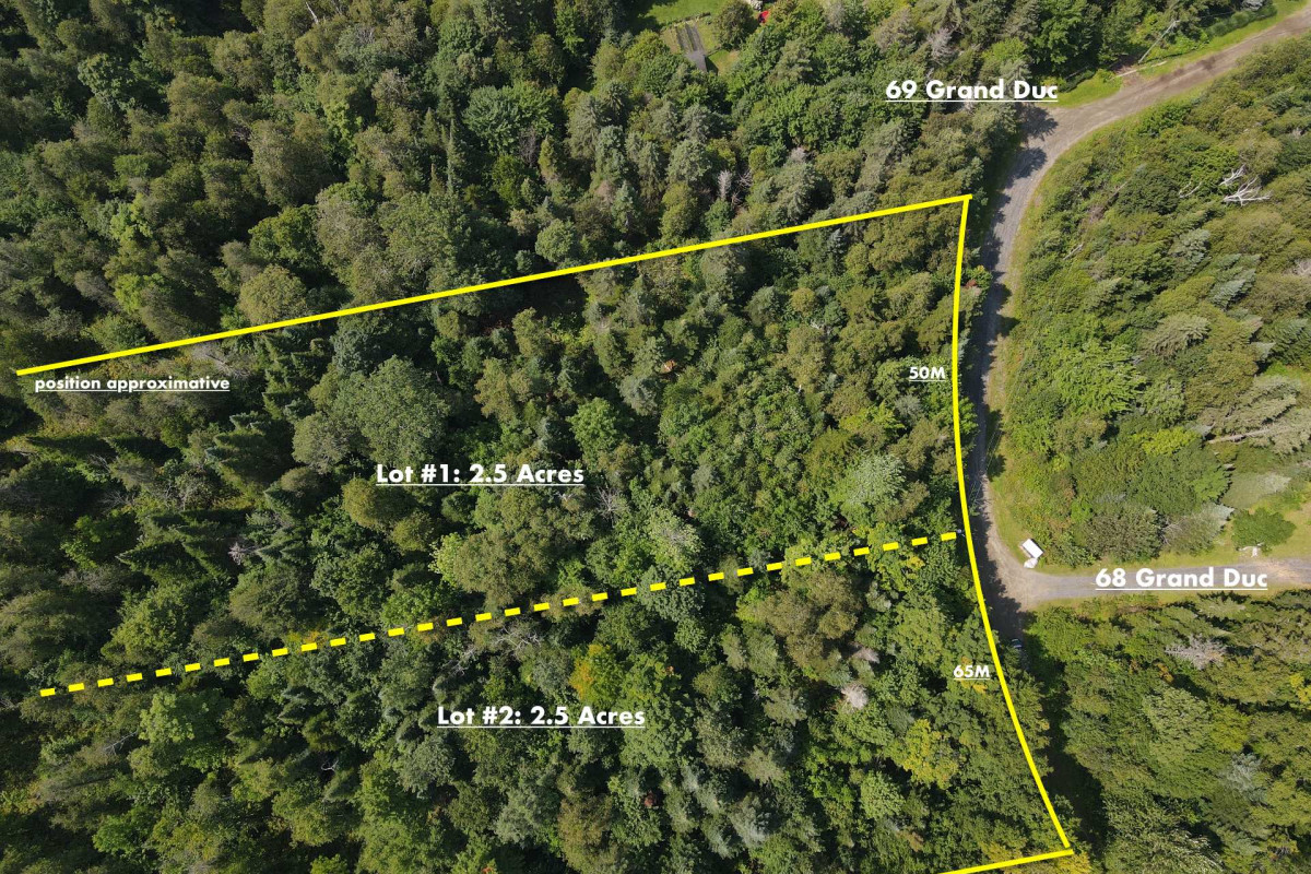 MLS: 11551147