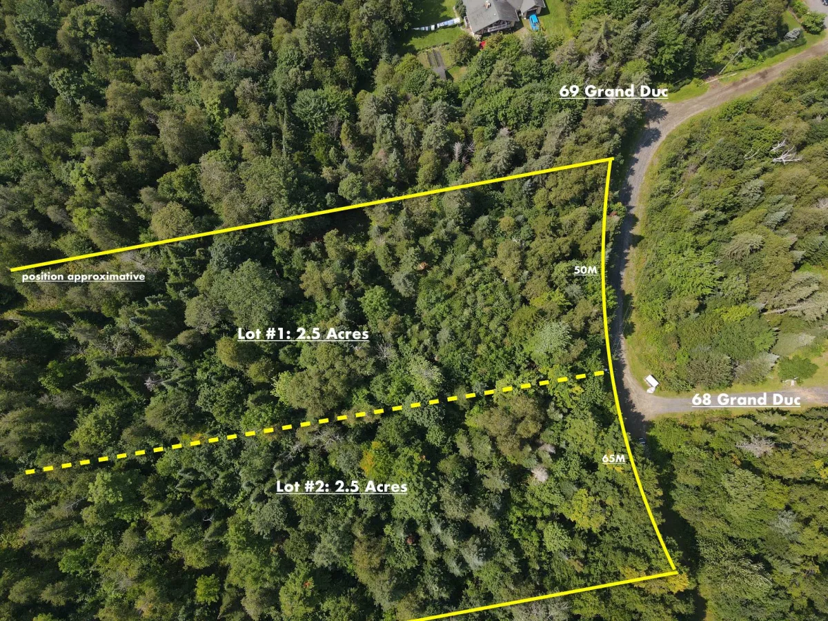 MLS: 11551147