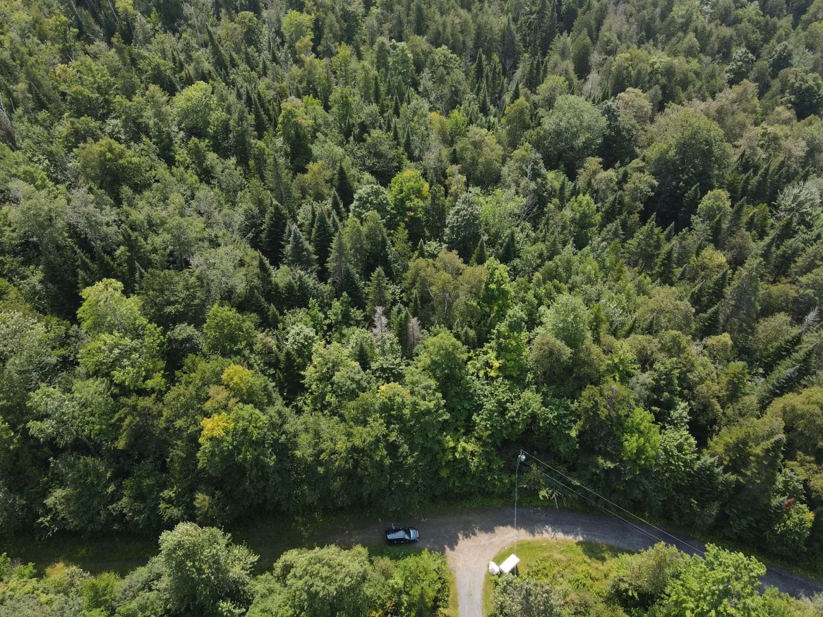MLS: 11551147