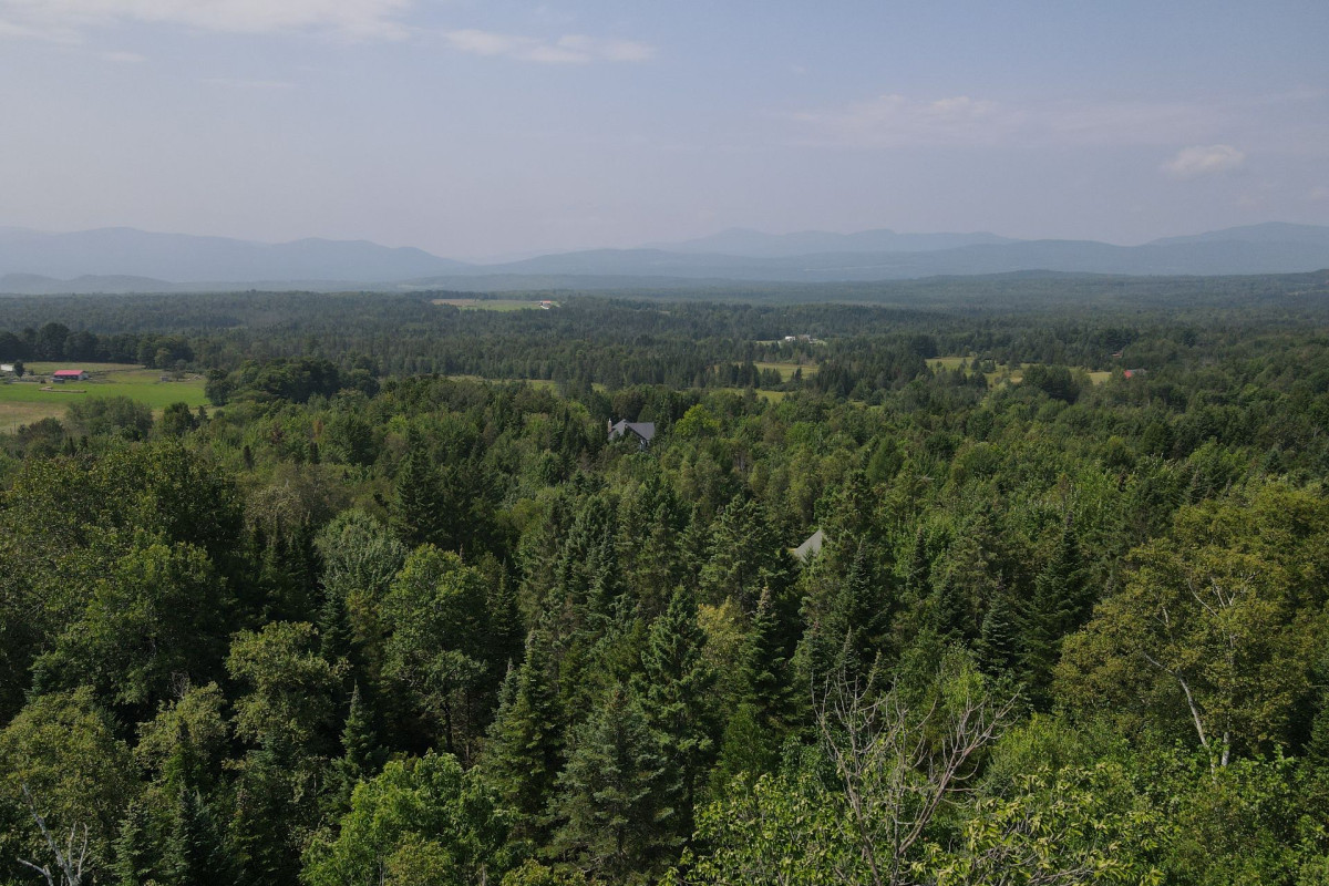 MLS: 11551147