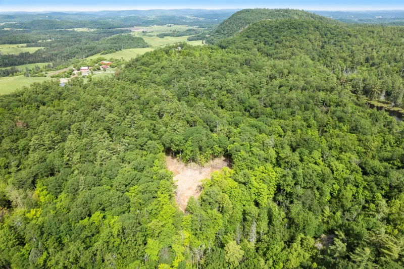 MLS: 11570901