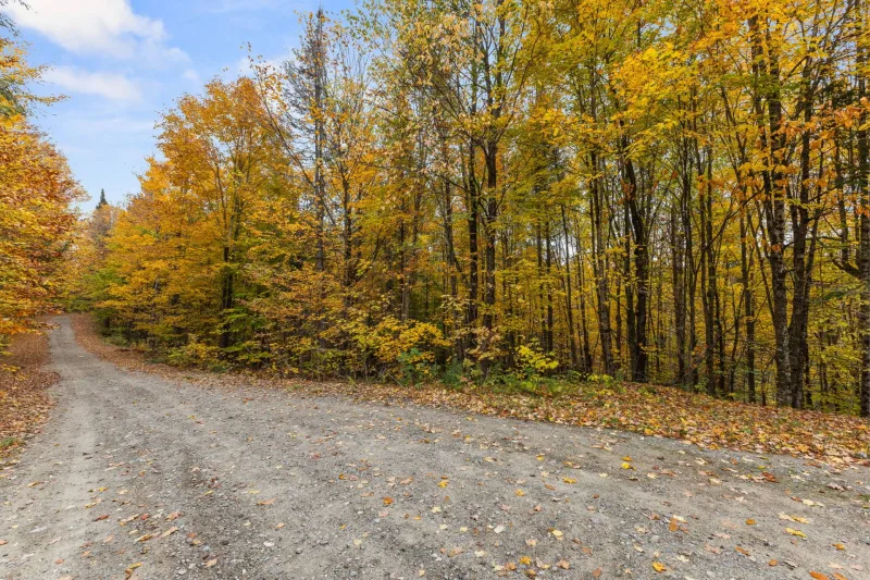 MLS: 11611676