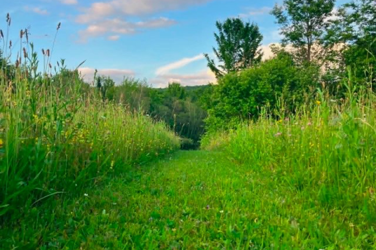 MLS: 12215129