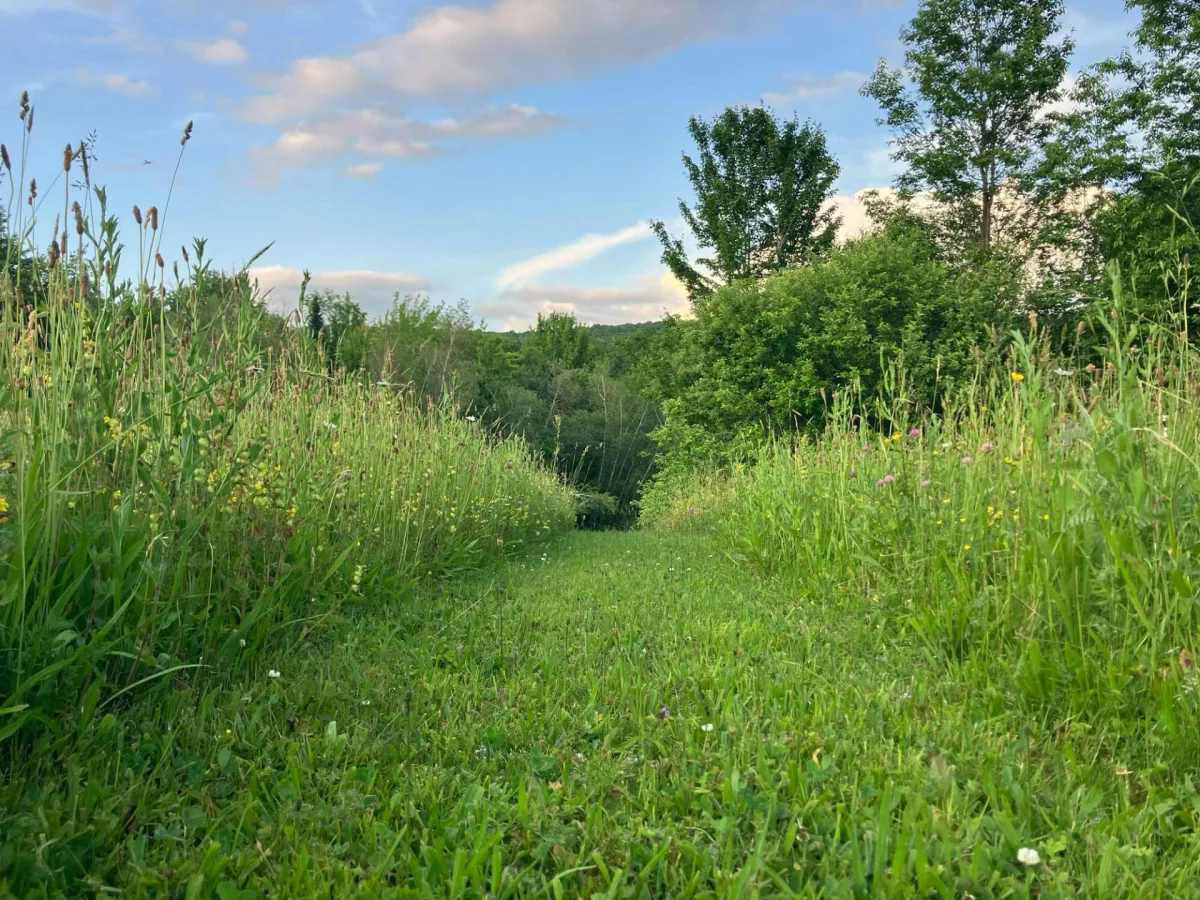 MLS: 12215129