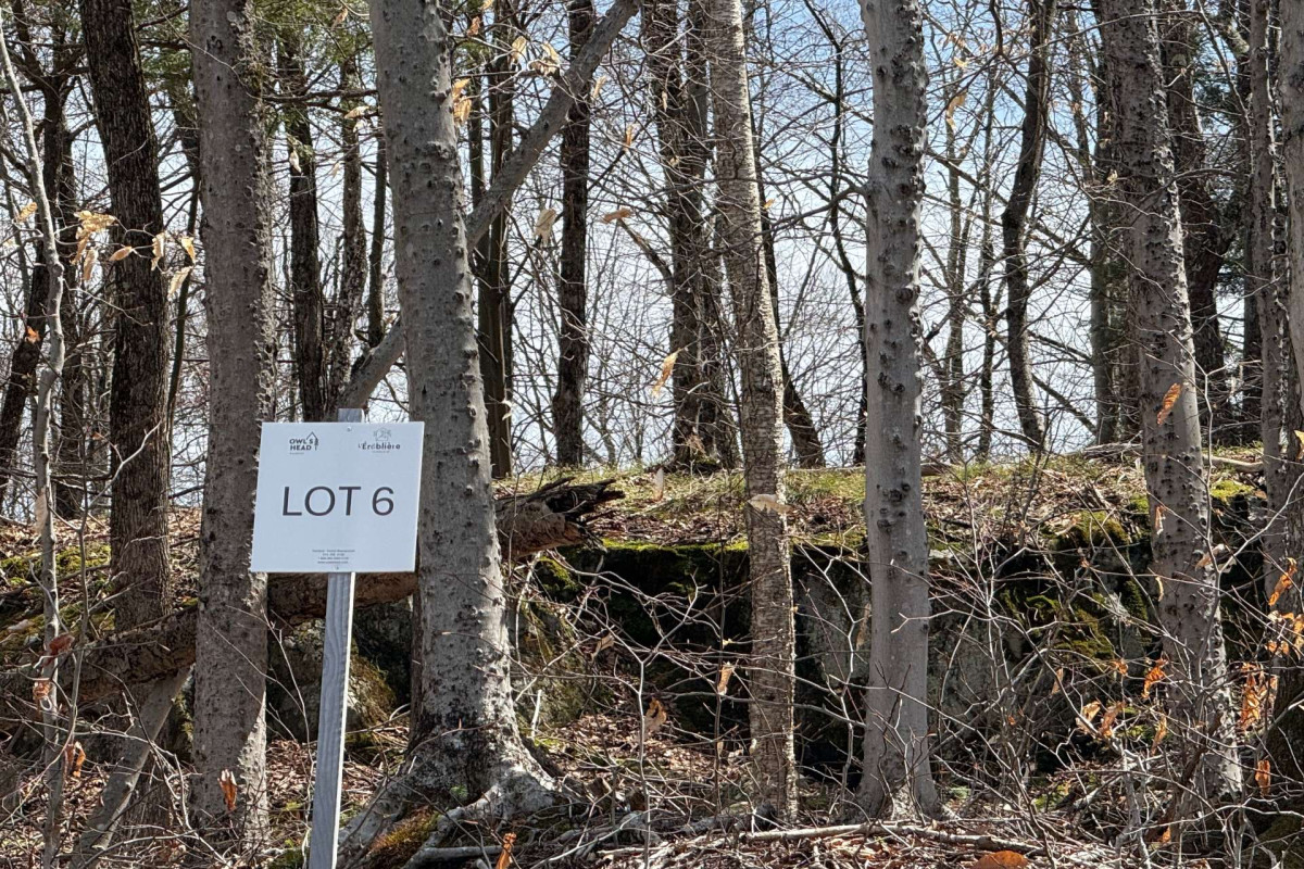 MLS: 12584327