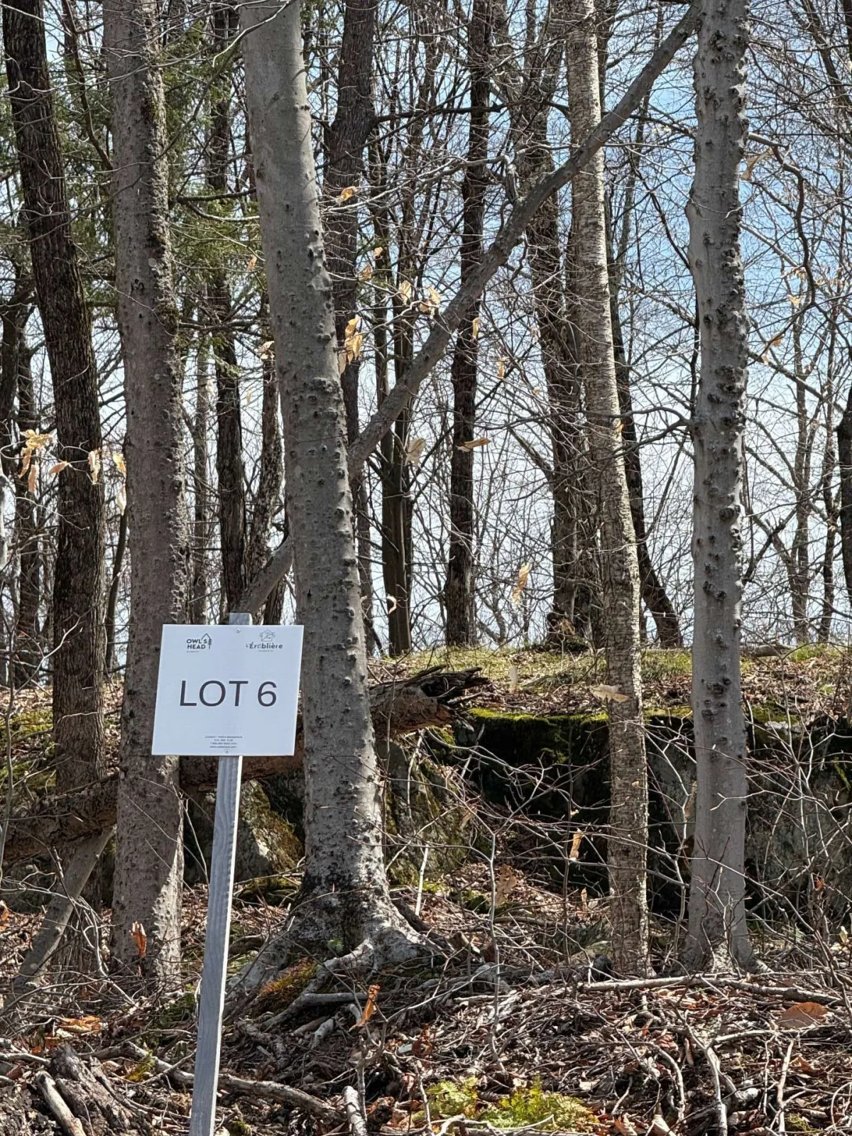 MLS: 12584327