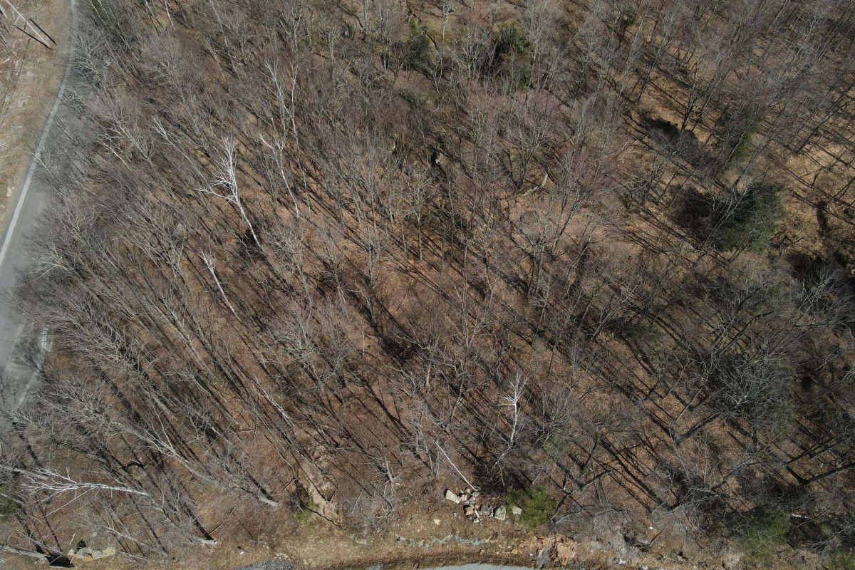 MLS: 12584327