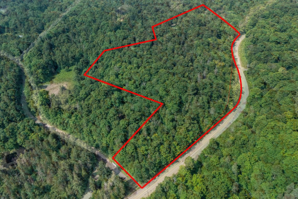 MLS: 12625871