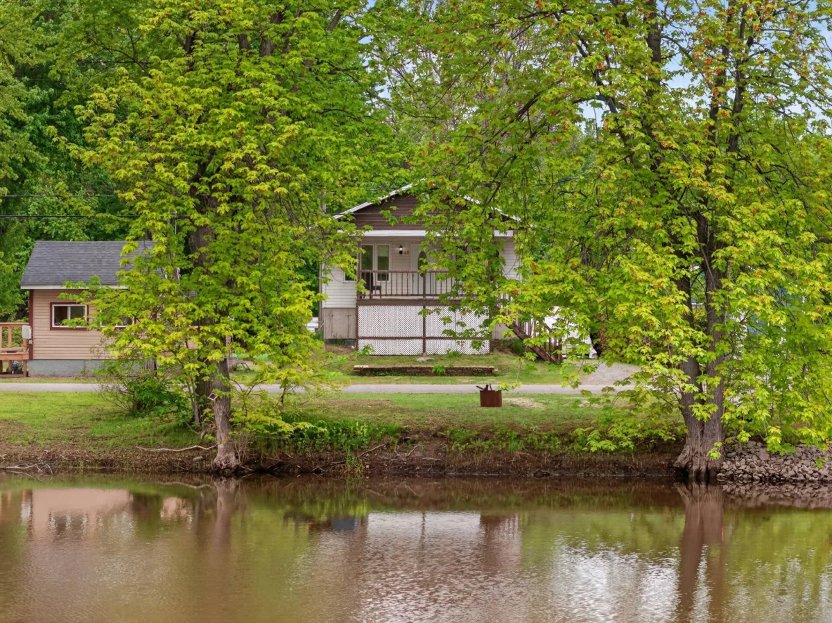 main-picture