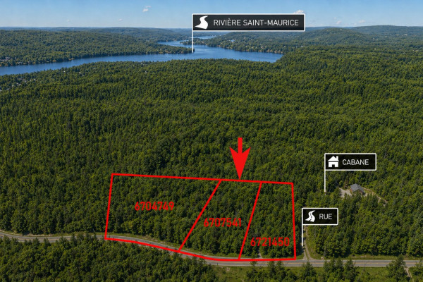 MLS: 15126618