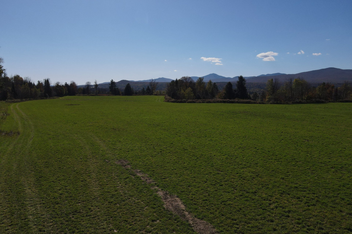 MLS: 17988834