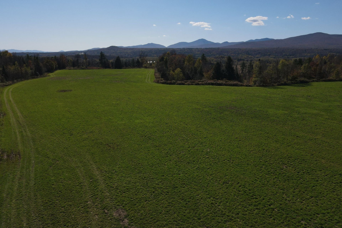 MLS: 17988834