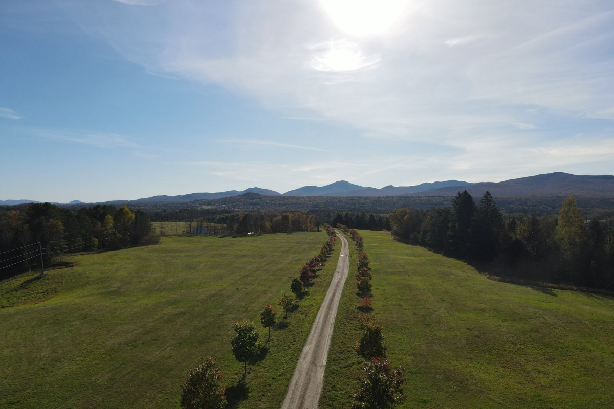 MLS: 17988834