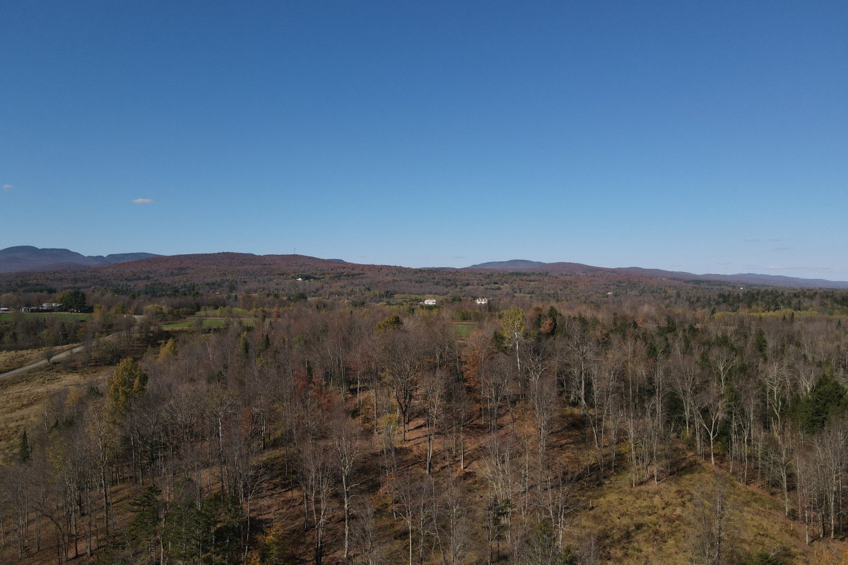 MLS: 17988834