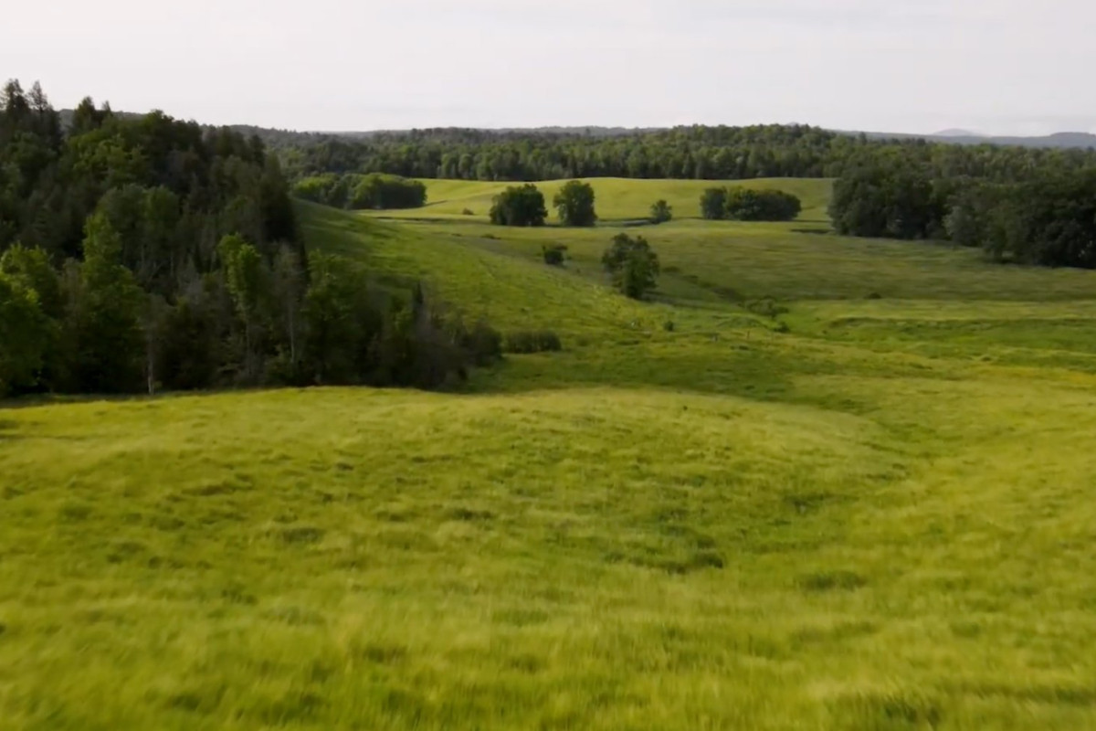 MLS: 17988834