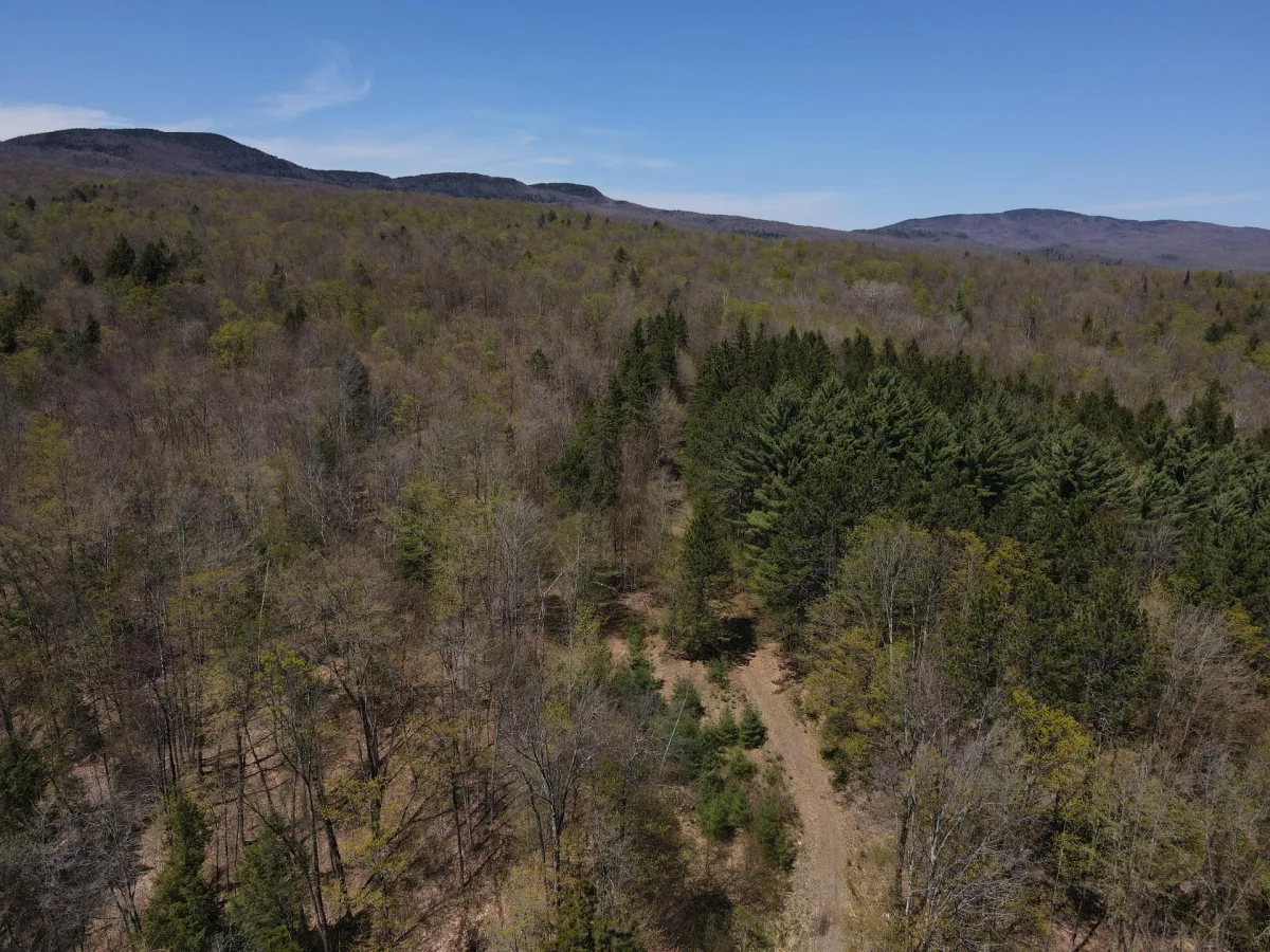 MLS: 18438407