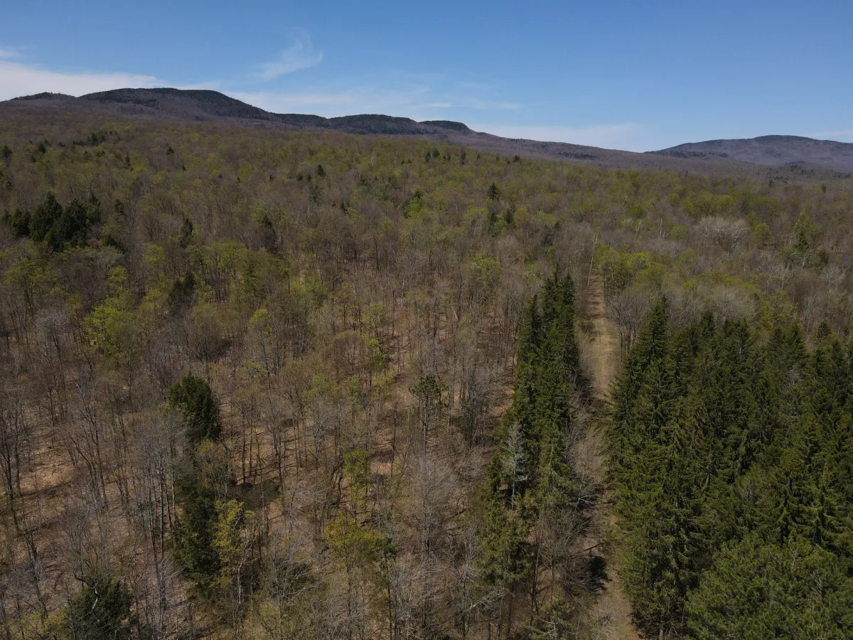 MLS: 18438407