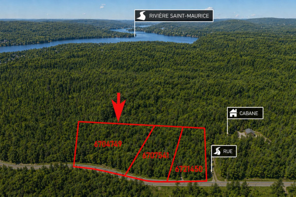MLS: 23840376