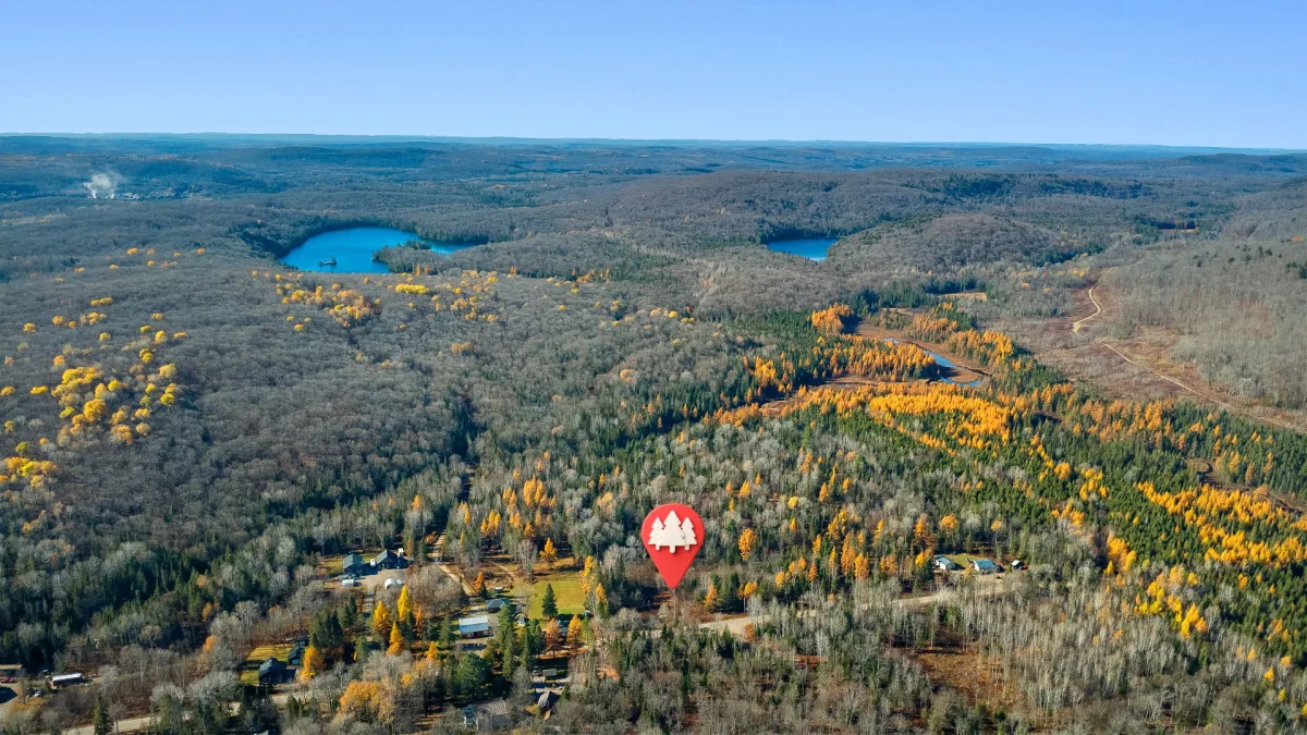 main-picture