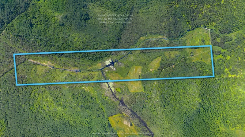 MLS: 28695453