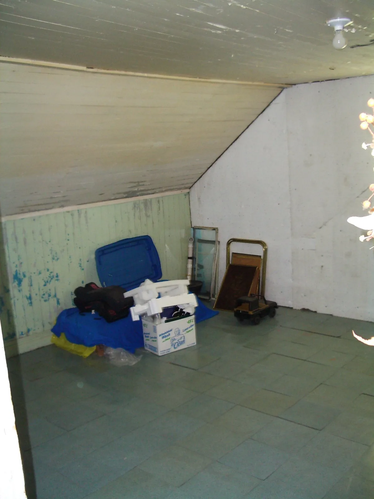 IMAGES