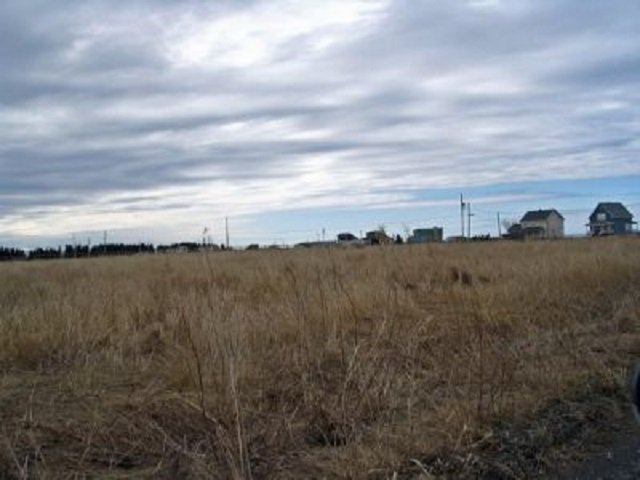Terre/Terrain