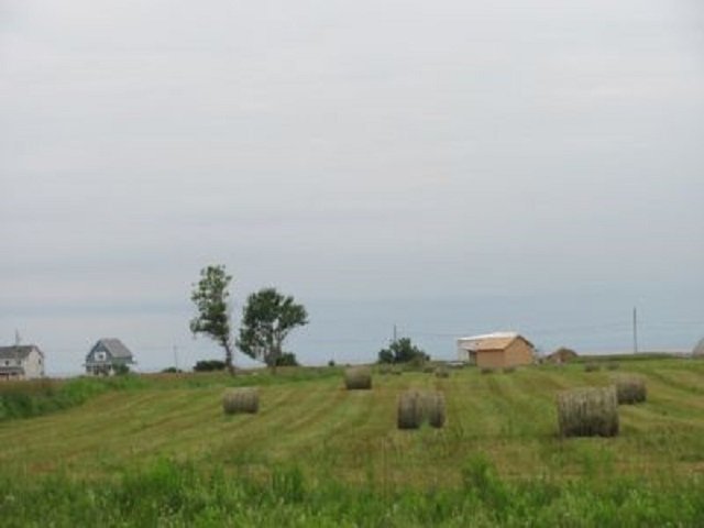 Terre/Terrain