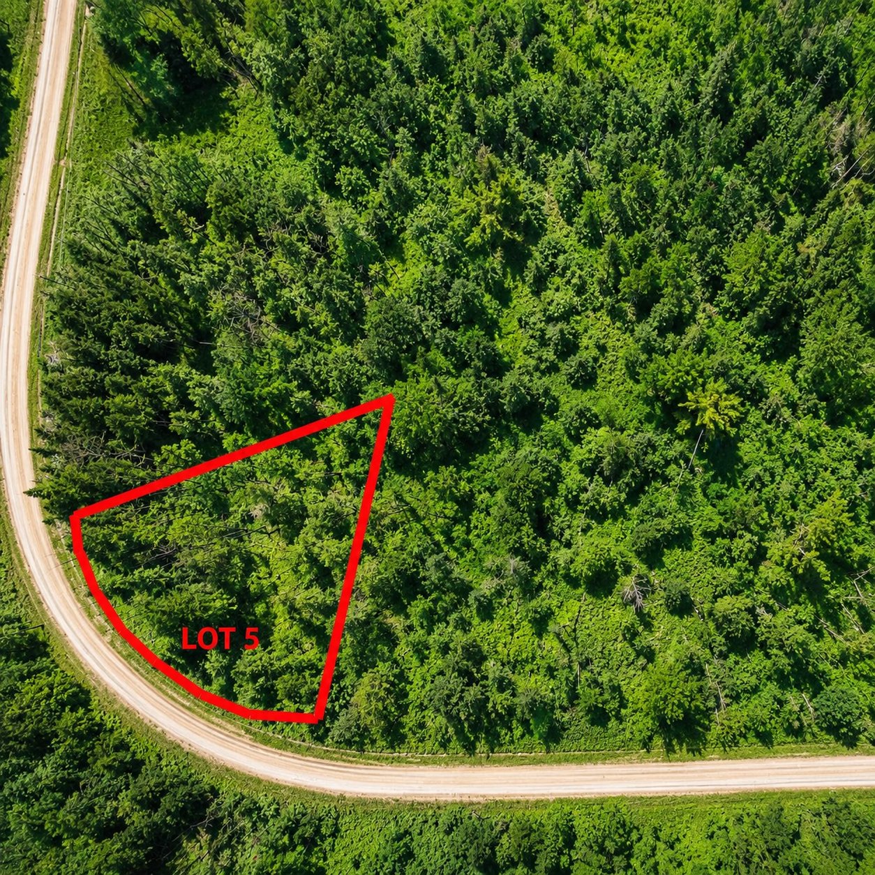 MLS: 12068591