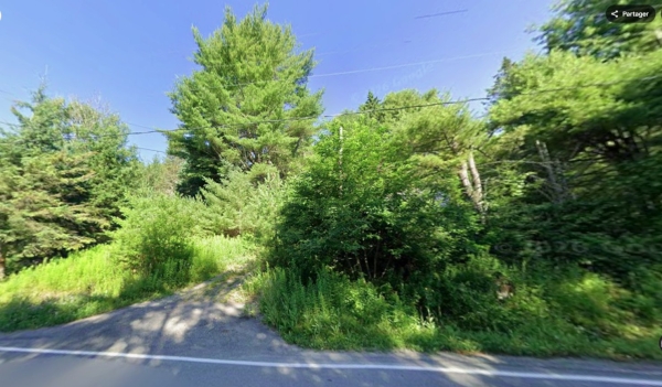 MLS: 12321815