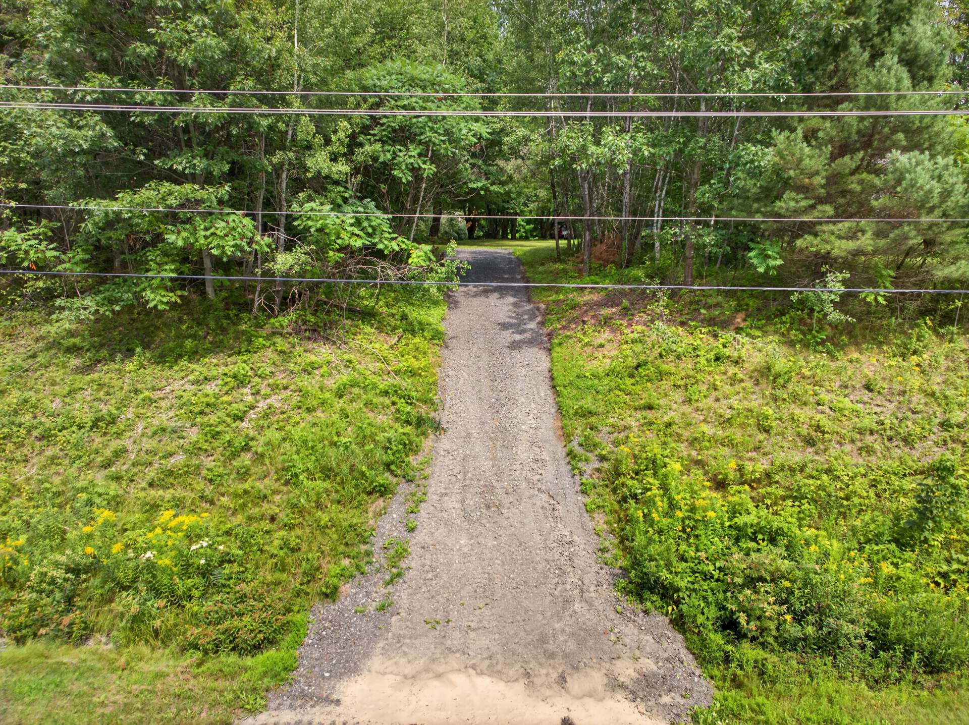 left-image