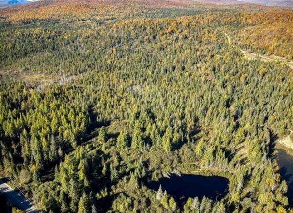 MLS: 12718708