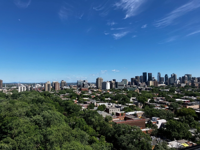 MLS: 13895011
