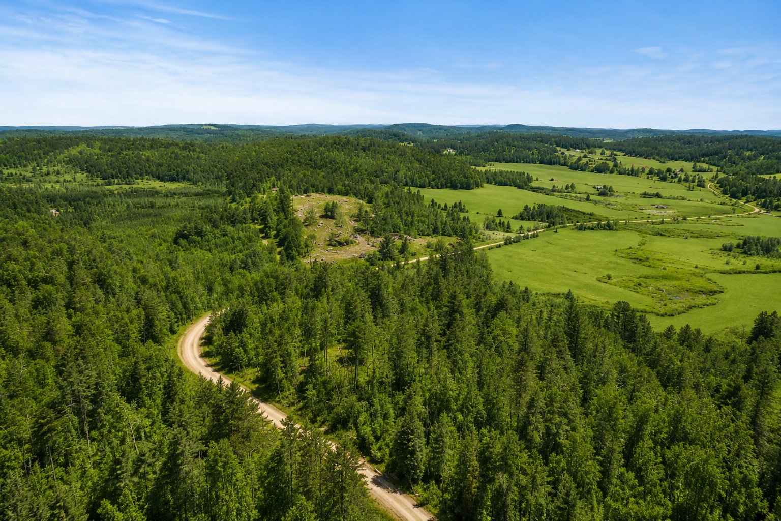 main-picture
