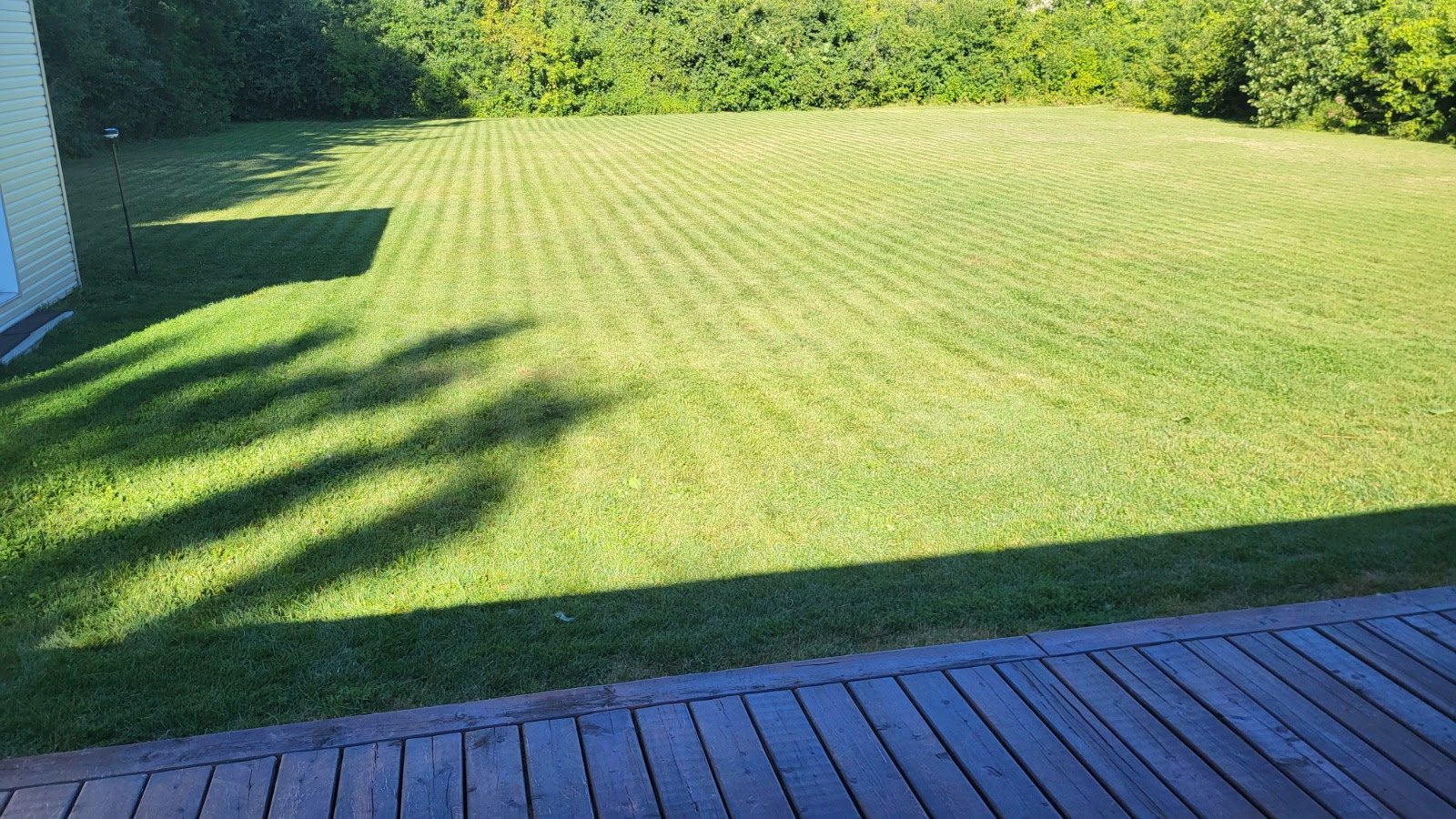 left-image