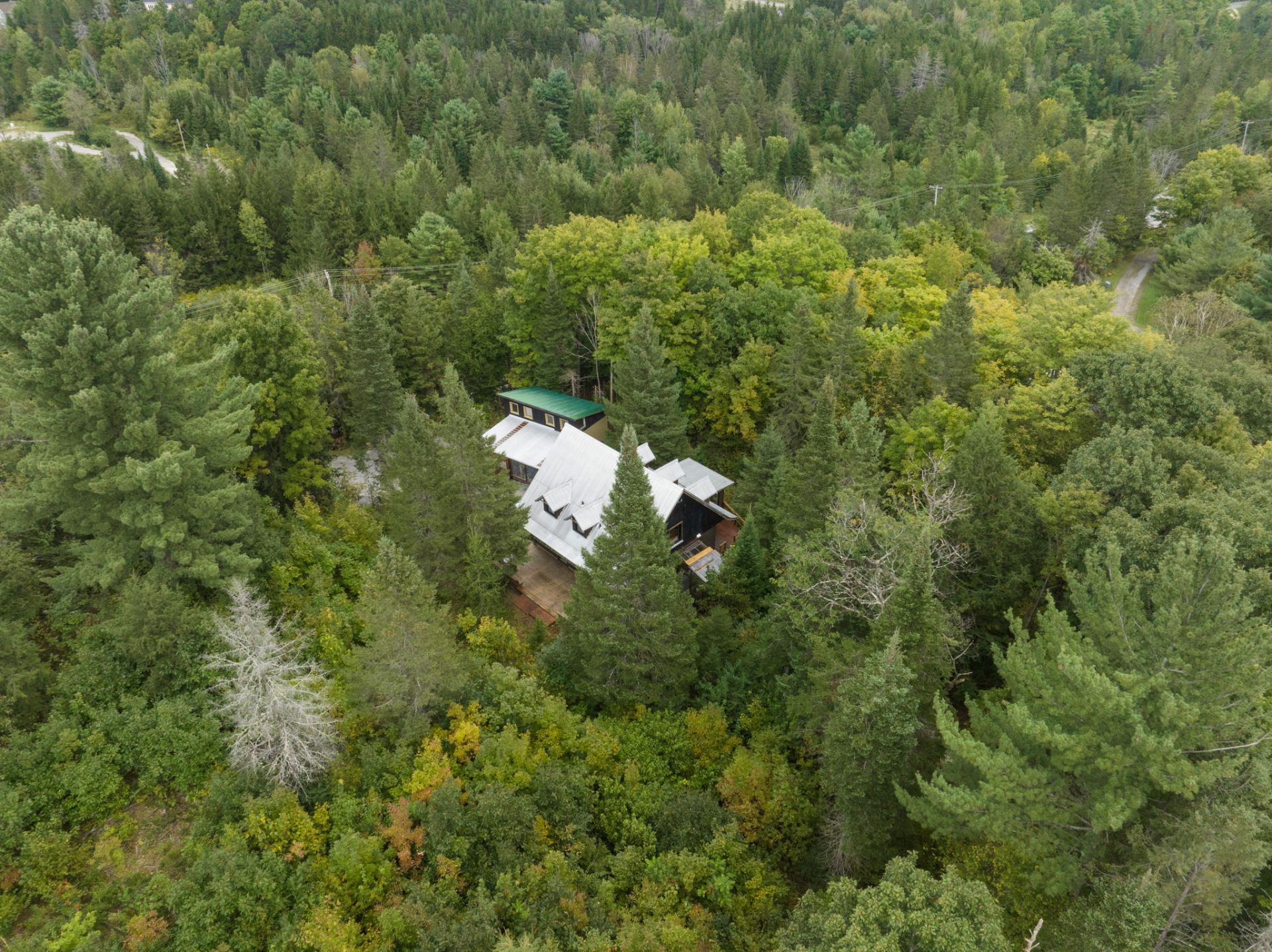 IMAGE49