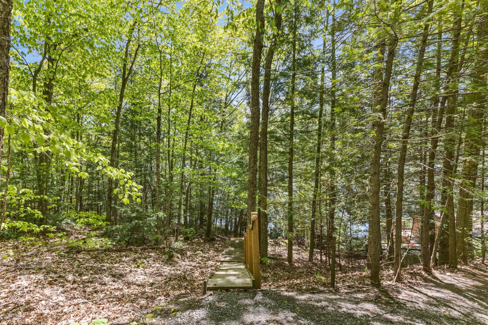 IMAGE19