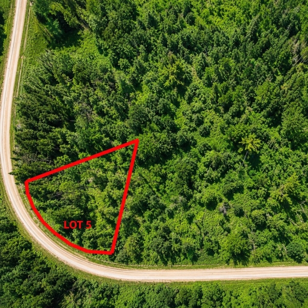 MLS: 17874308