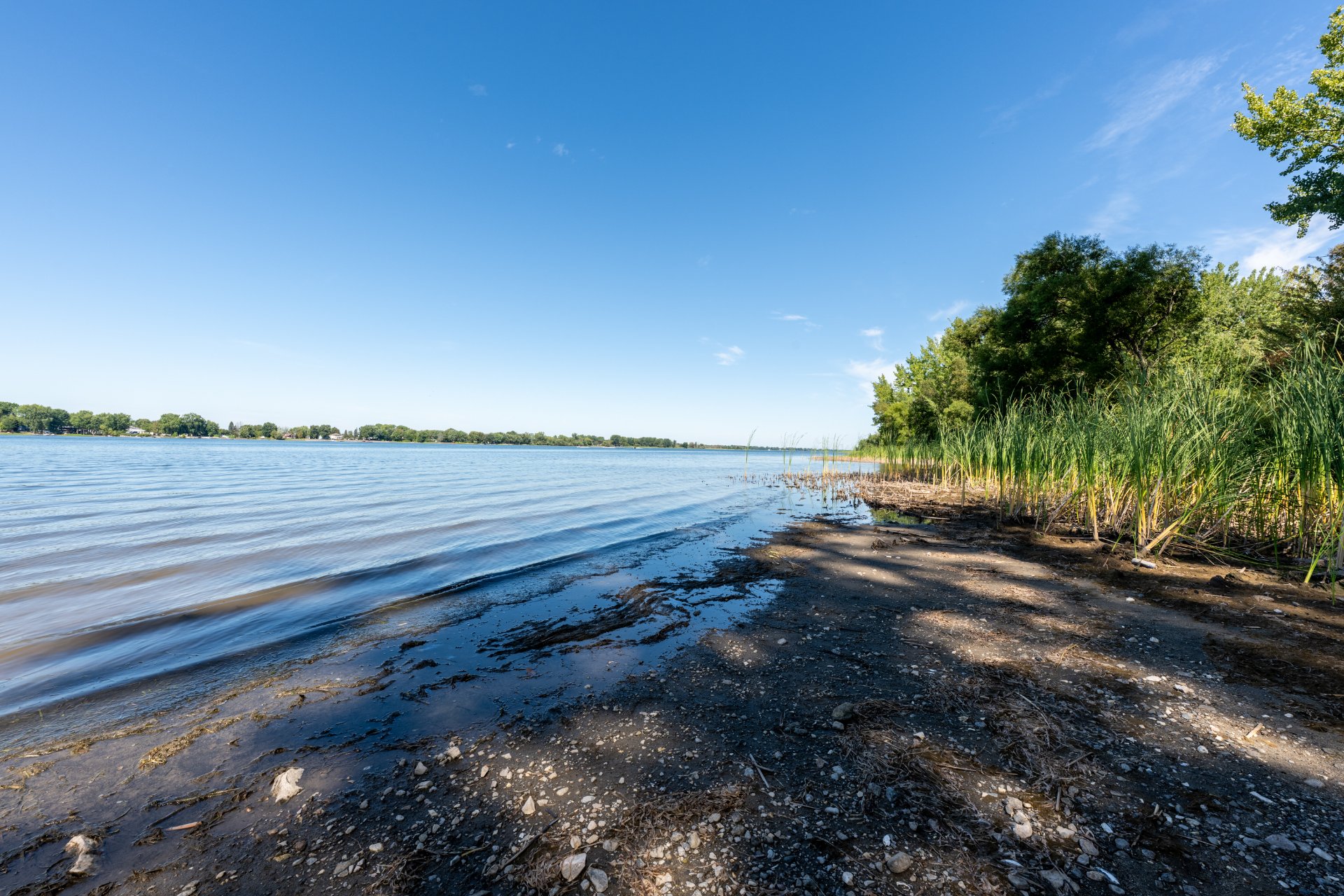 Bord de l'eau