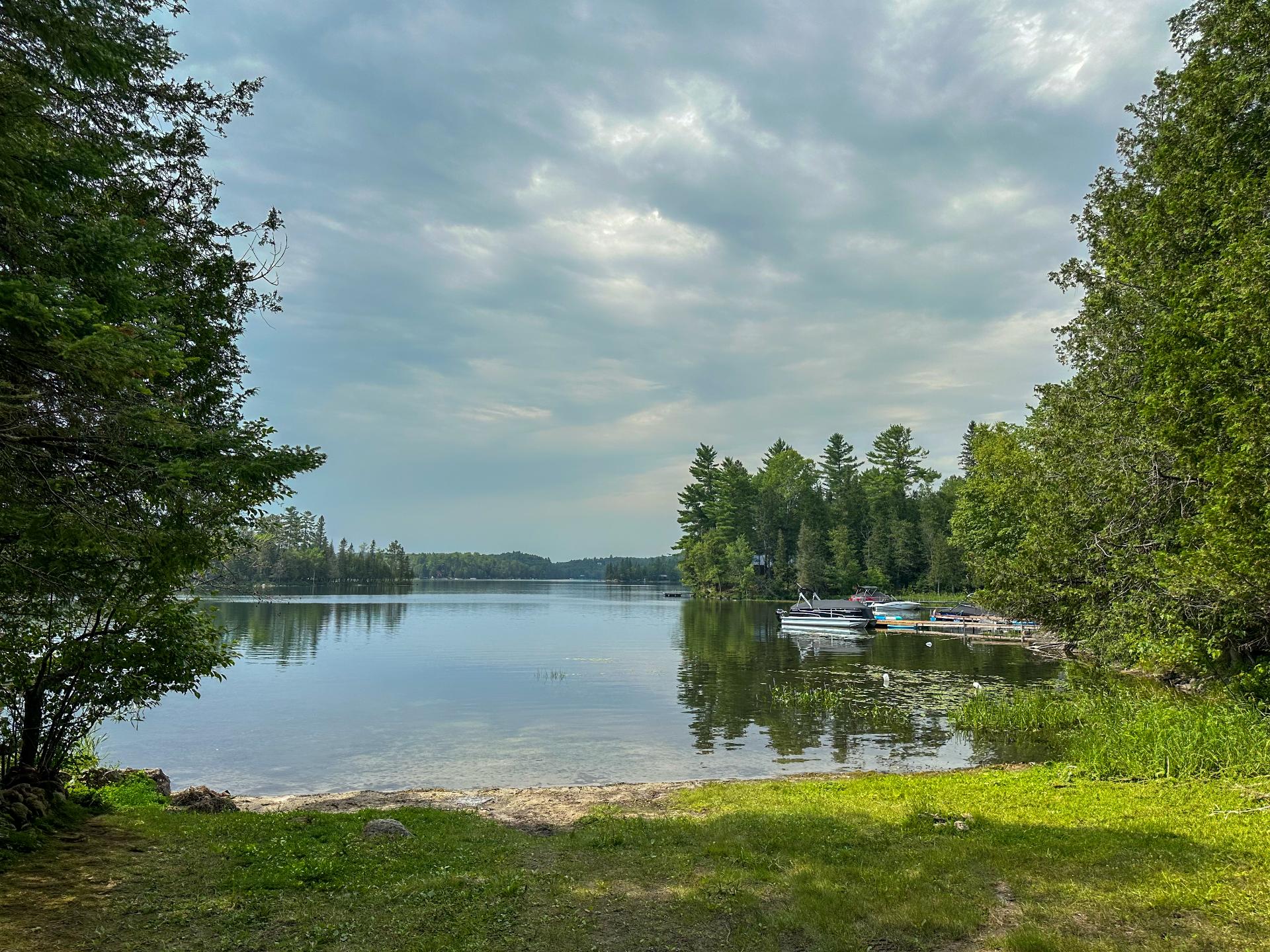 IMAGE1