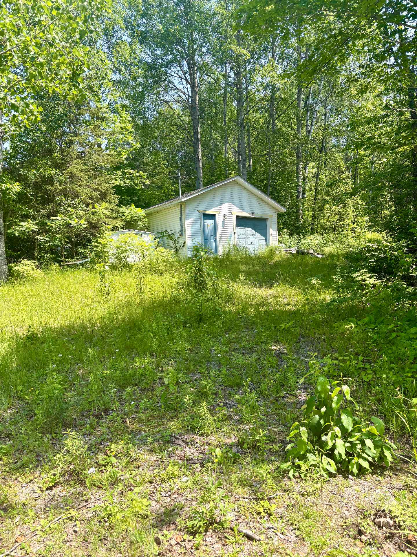 MLS: 18467741