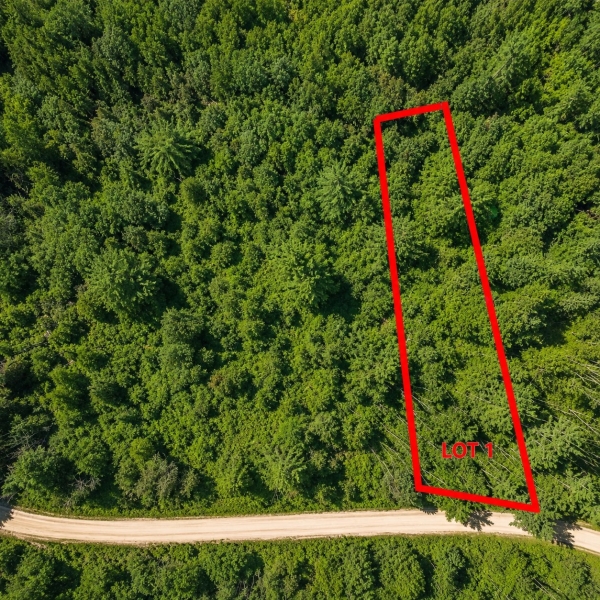 MLS: 18635584