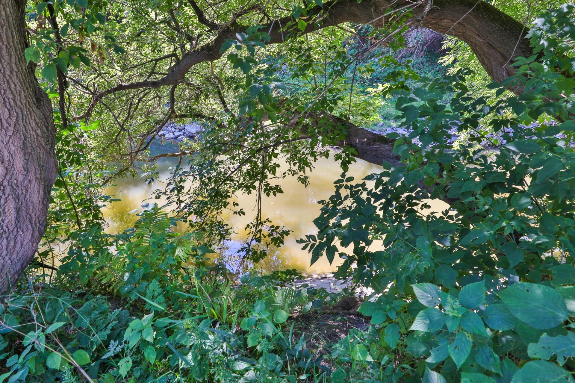 IMAGE68