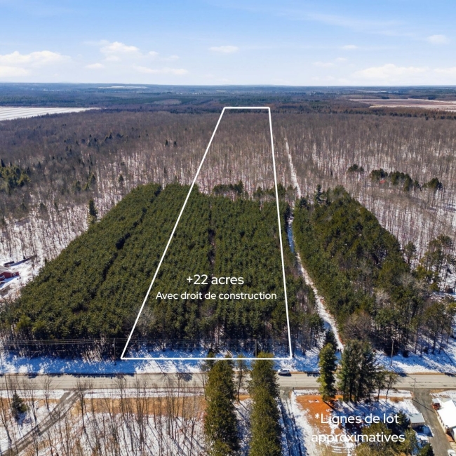 MLS: 20421335