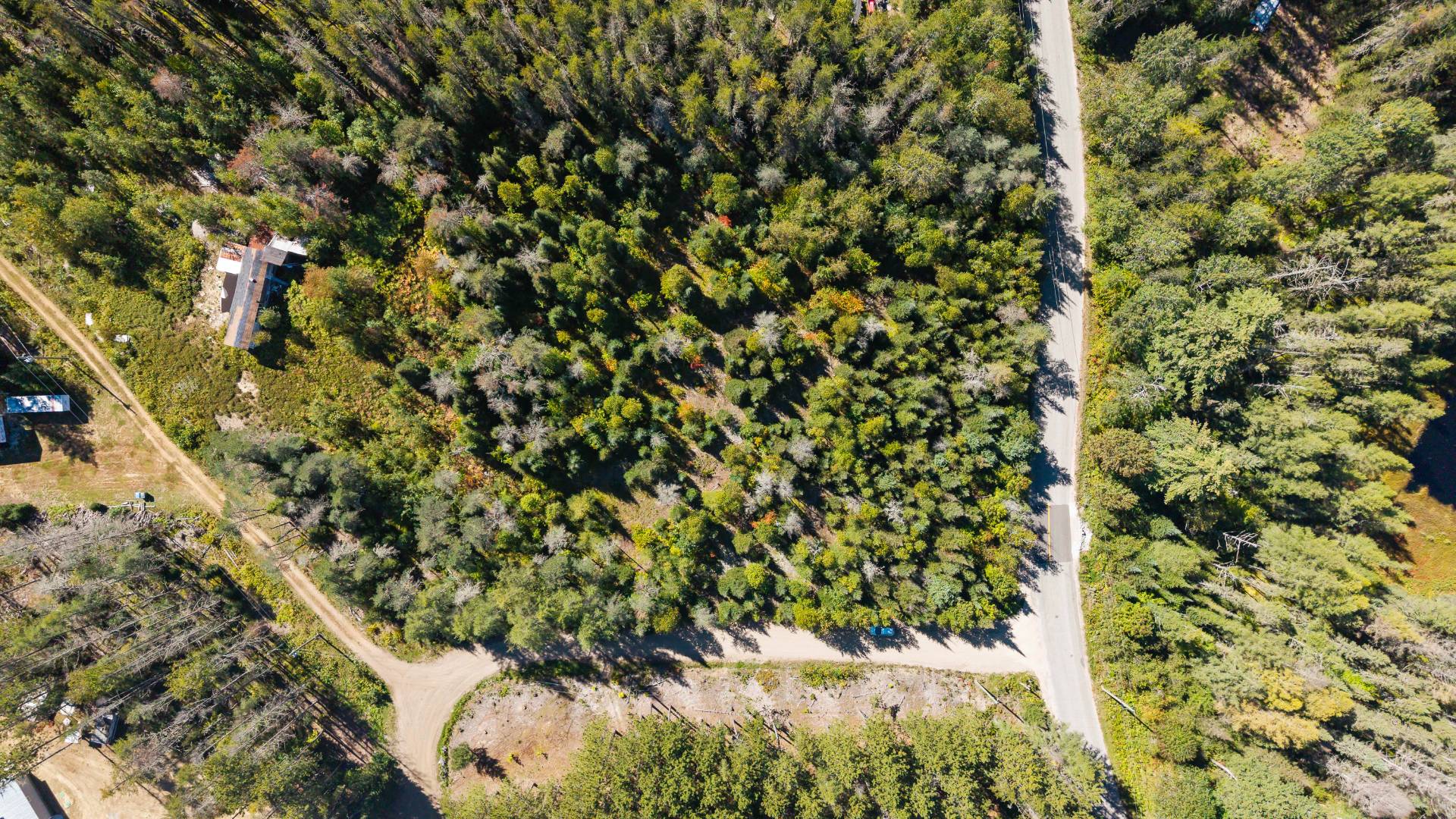 MLS: 21354715