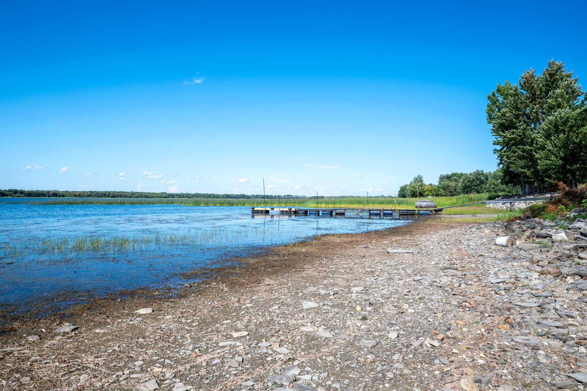 Bord de l'eau