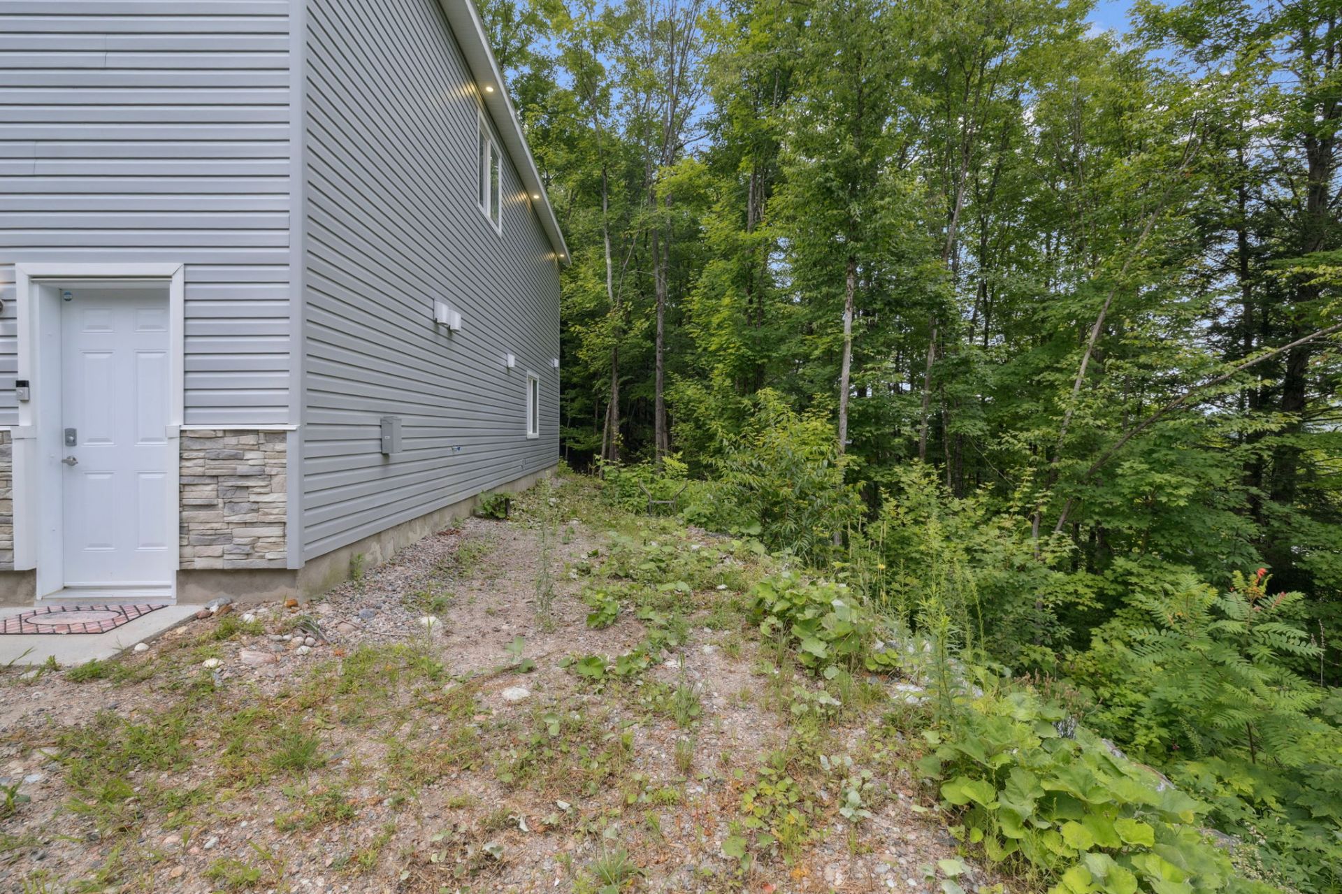 IMAGE31