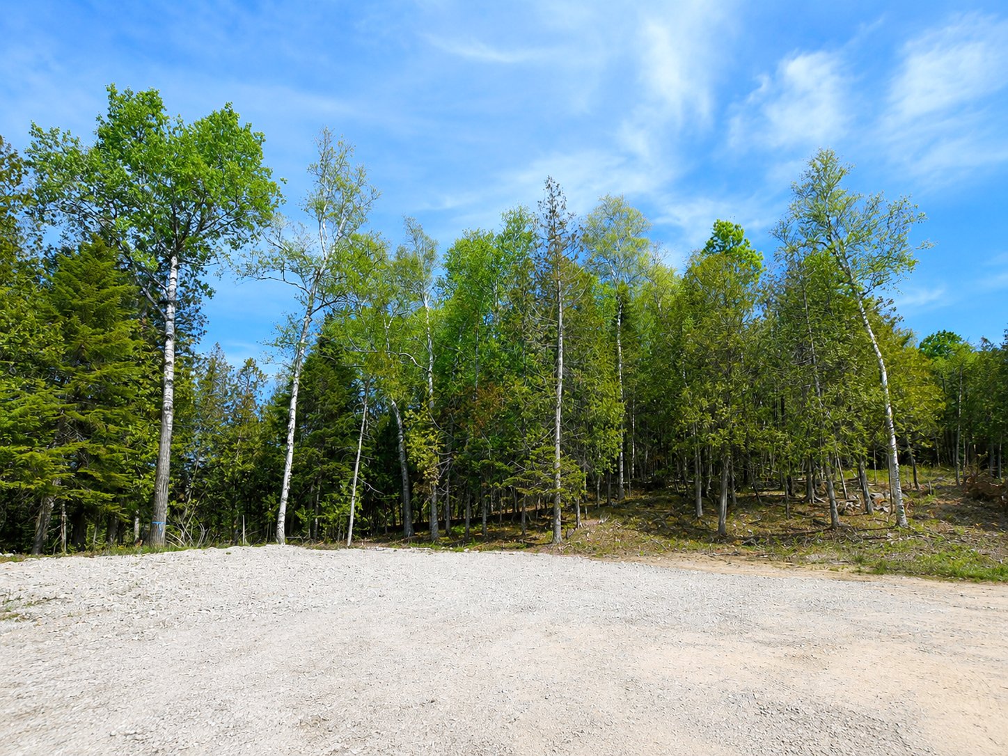 right-image