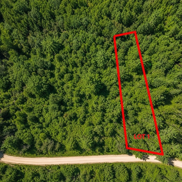 MLS: 24257481