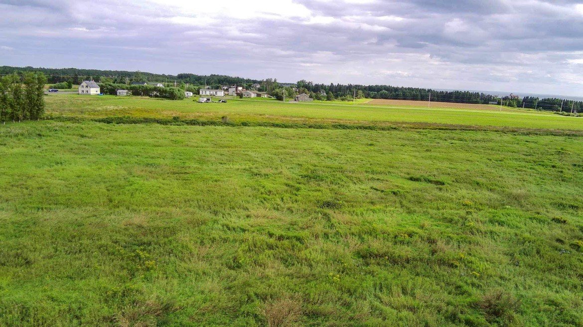 Terre/Terrain